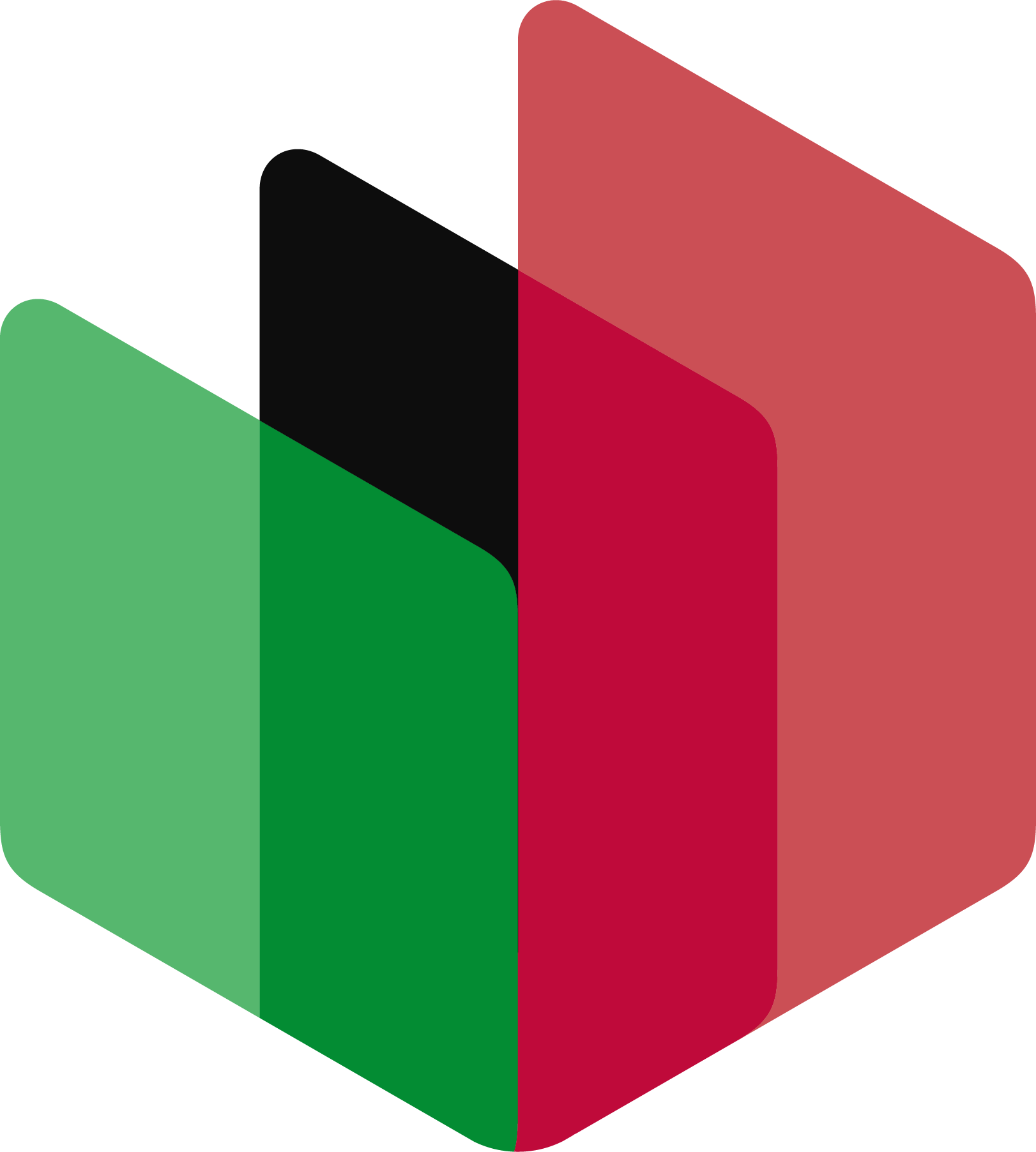 Ledgera UAE
